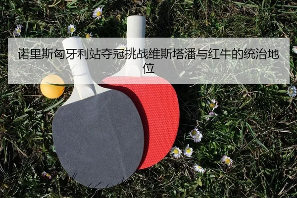 诺里斯匈牙利站夺冠挑战维斯塔潘与红牛的统治地位